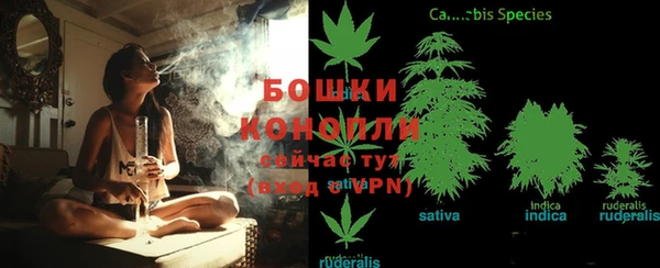 прущие грибы Армянск