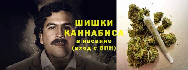 прущие грибы Армянск