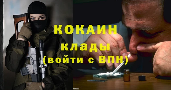PSILOCYBIN Аркадак