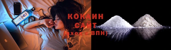 прущие грибы Армянск
