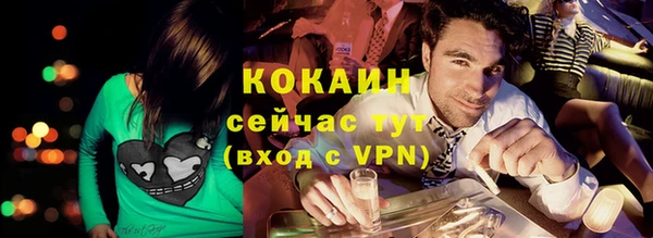 крисы Алзамай