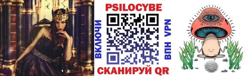 Купить  Струнино  Псилоцибиновые грибы Magic Shrooms 